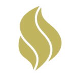 Hollywood Hair System Icon